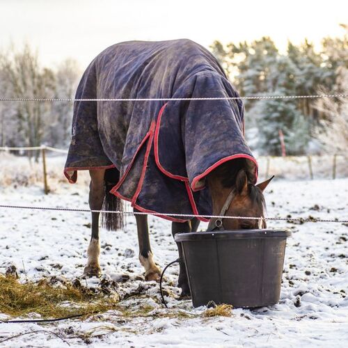 Frostsichere Tränke 60 l, inkl. Transformator