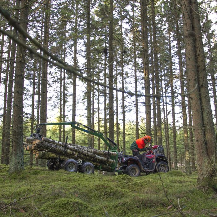 Forstanhänger Quad 2 Tonnen, Paket 3