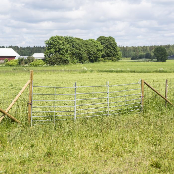 Weidepanel für Schafe 2,0 m