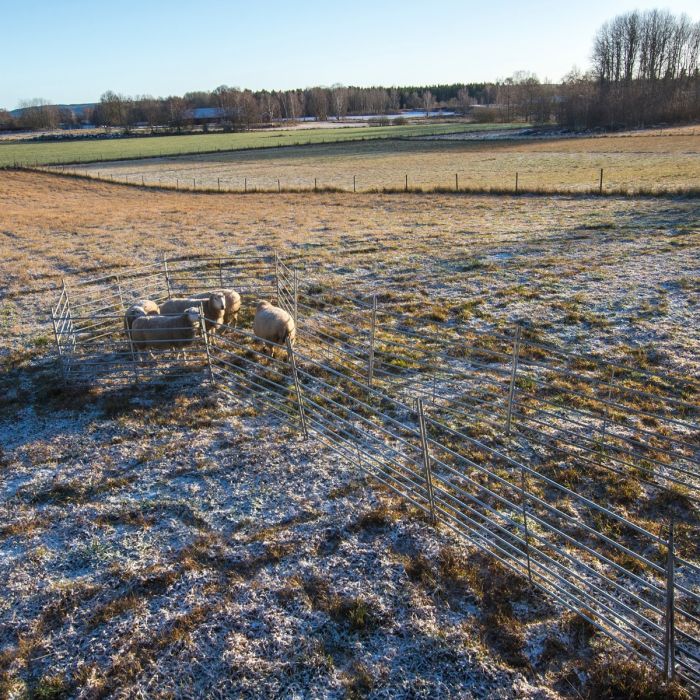 Weidepanel für Schafe 1,5 m