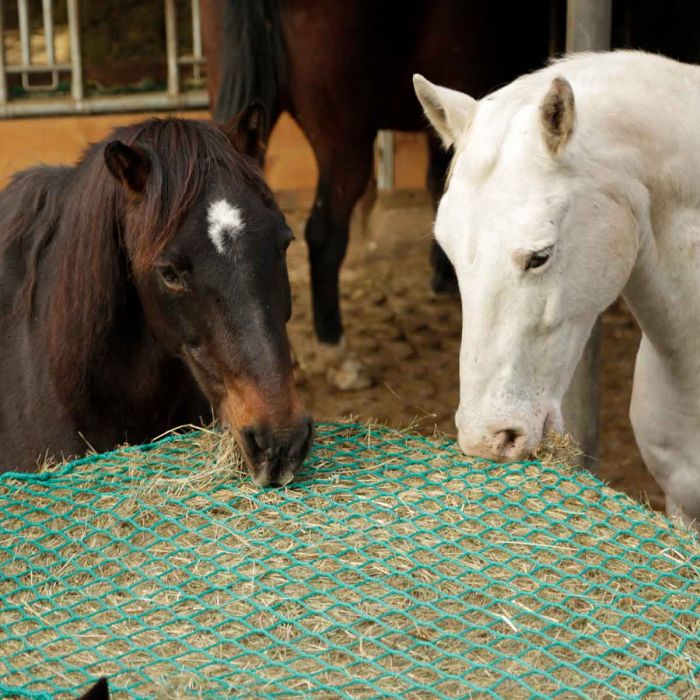 Netz für Rundballen, SlowFeeder