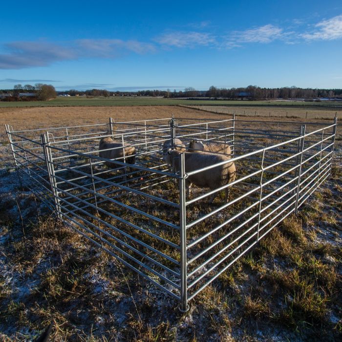 Weidepanel für Schafe 2,0 m