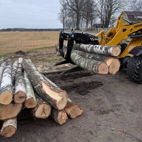 Holzgreifer für Frontlader, mit verschraubter Euroaufnahme