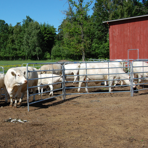 Versetzbares Weidepanel mit Haken und Kette