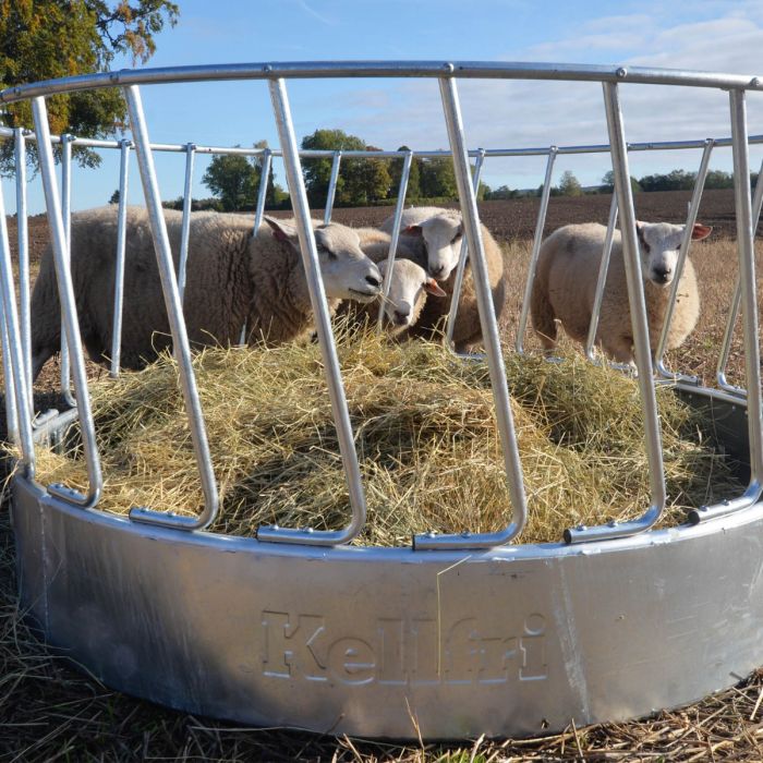 Heuraufe für Schafe , 24 Fressplätze