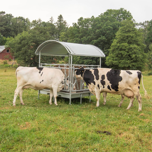 Heuraufe mit Selbstfangfressgittern für Rinder, 12 Fressplätze