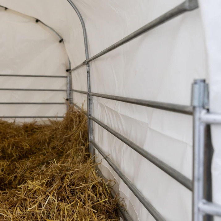 Windschutz für Schafe