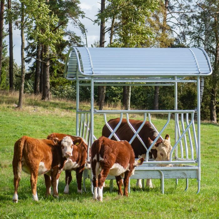 Heuraufe mit Schrägfressgitter für Rinder, 12 Fressplätze