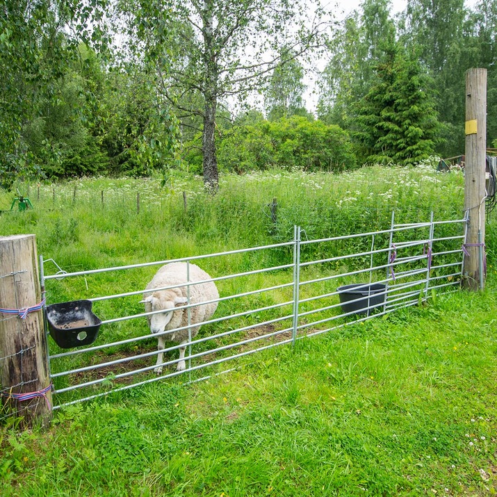 Weidepanel für Schafe 1,5 m