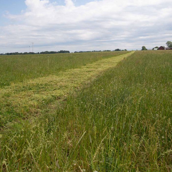 Schlegelmulcher X 2,0 m