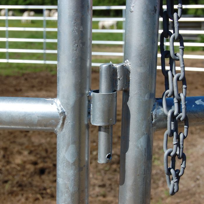 Versetzbares Weidepanel mit Haken und Kette