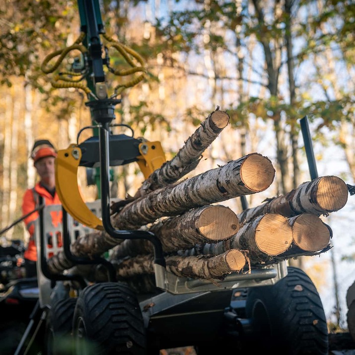 Forstanhänger Quad 3 Tonnen, mit 4,2 m Kran
