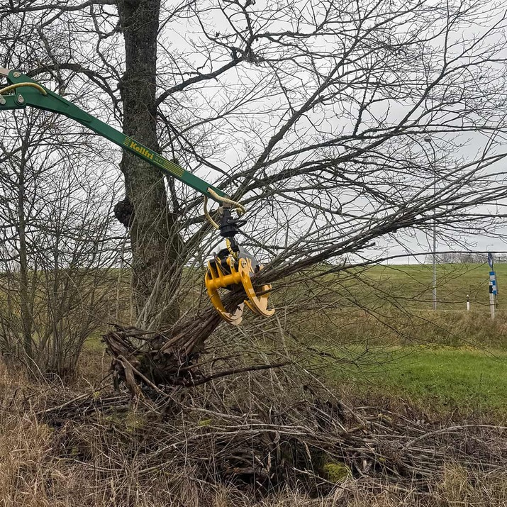Reisiggreifer inkl. Hydraulikschlauch und Schrauben