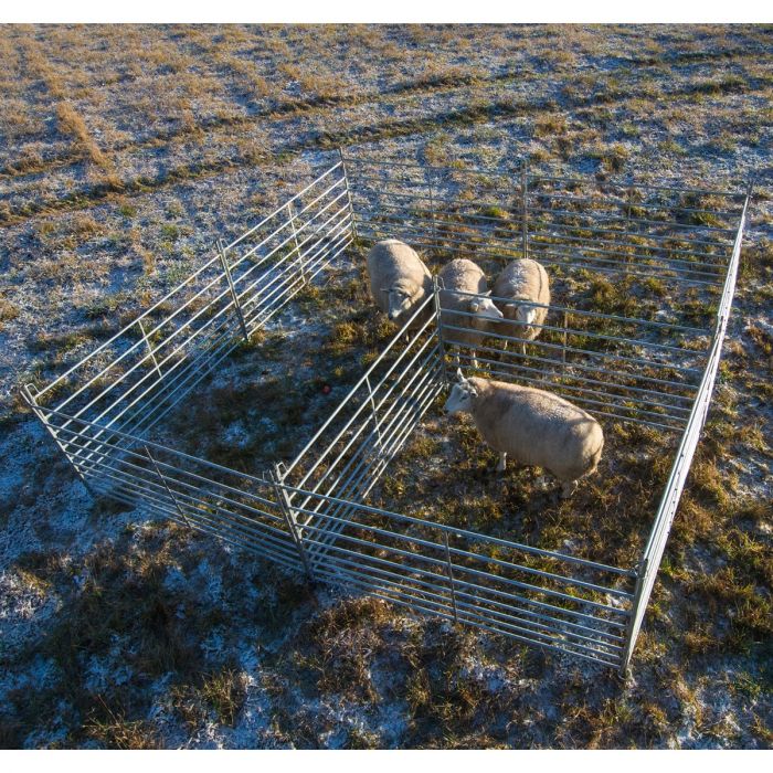 Weidepanel für Schafe 2,0 m