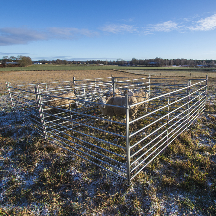 Weidepanel für Schafe 1,5 m