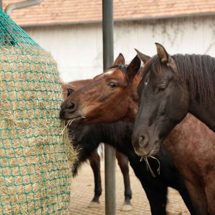 Heunetz für Rundballen, zum Aufhängen, SlowFeeder