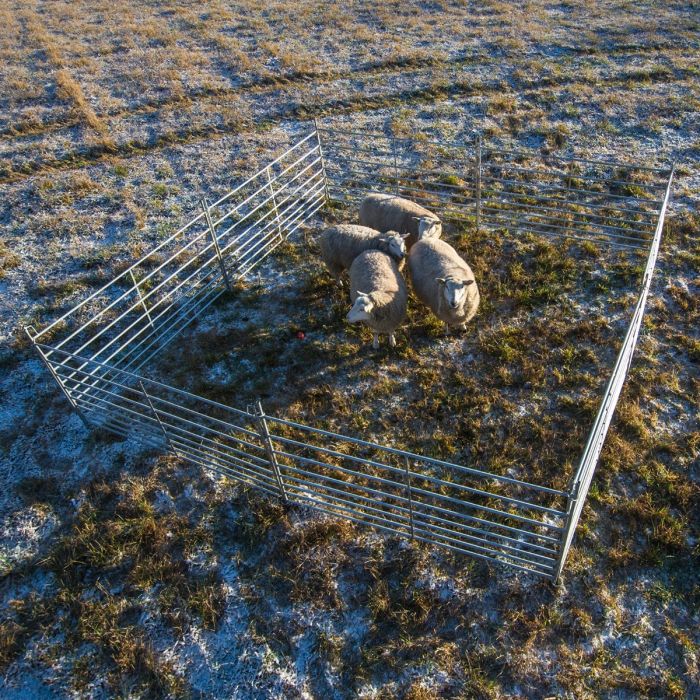 Weidepanel für Schafe 1,5 m