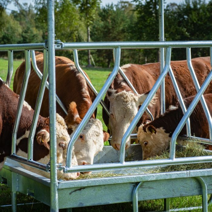 Heuraufe mit Schrägfressgitter für Rinder, 12 Fressplätze