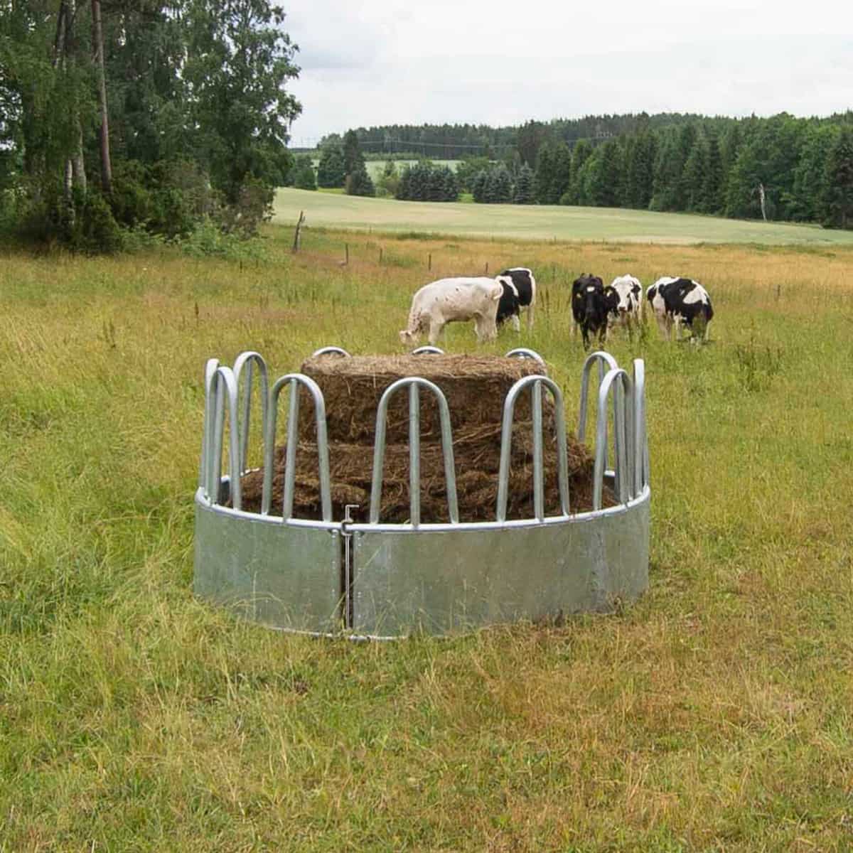 Heuraufe mit Palisaden für Rinder, 12 Fressplätze