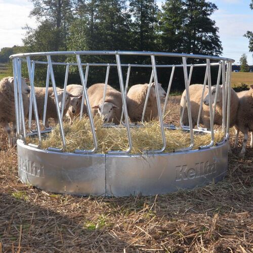 Heuraufe für Schafe , 24 Fressplätze