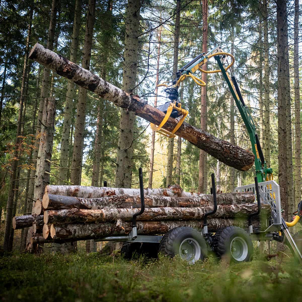 Forstanhänger Quad 3 Tonnen, mit 4,2 m Kran