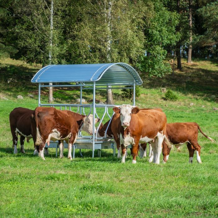 Heuraufe mit Schrägfressgitter für Rinder, 12 Fressplätze