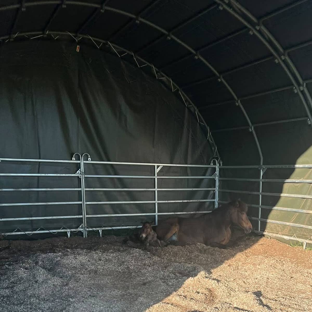 Windschutz 6 x 6 m